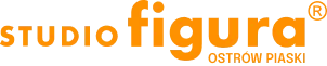logo studio figura